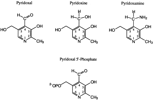 Vitamin B6 Pyridoxal-5 phosphate (P5P)