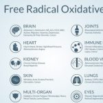 Oxidative Stress - Free Radicals